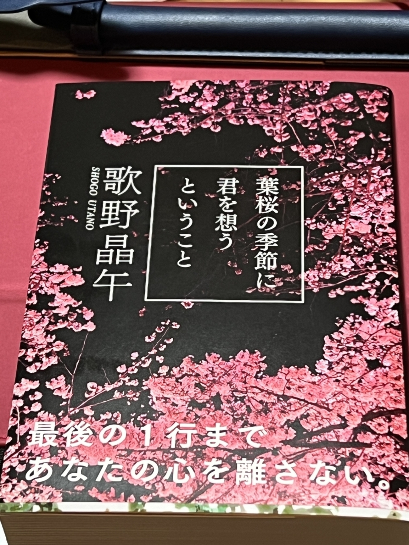 読了】「葉桜の季節に君を想うということ」歌野晶午 - ライブとか本 