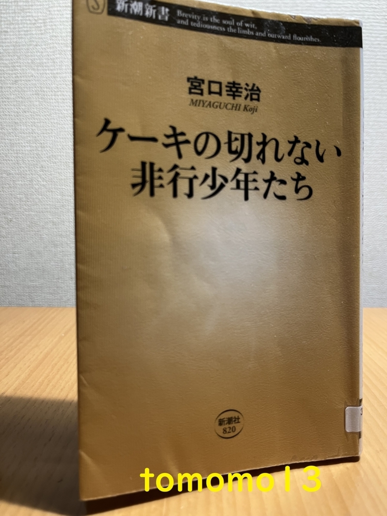 宮口幸治『ケーキの切れない非行少年たち』を読んでみた