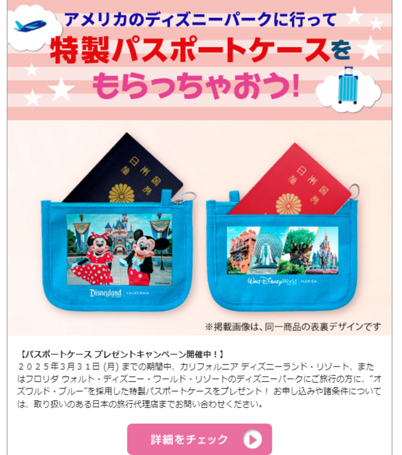 アメリカのディズニーパークに行って特製パスポートケースプレゼント 