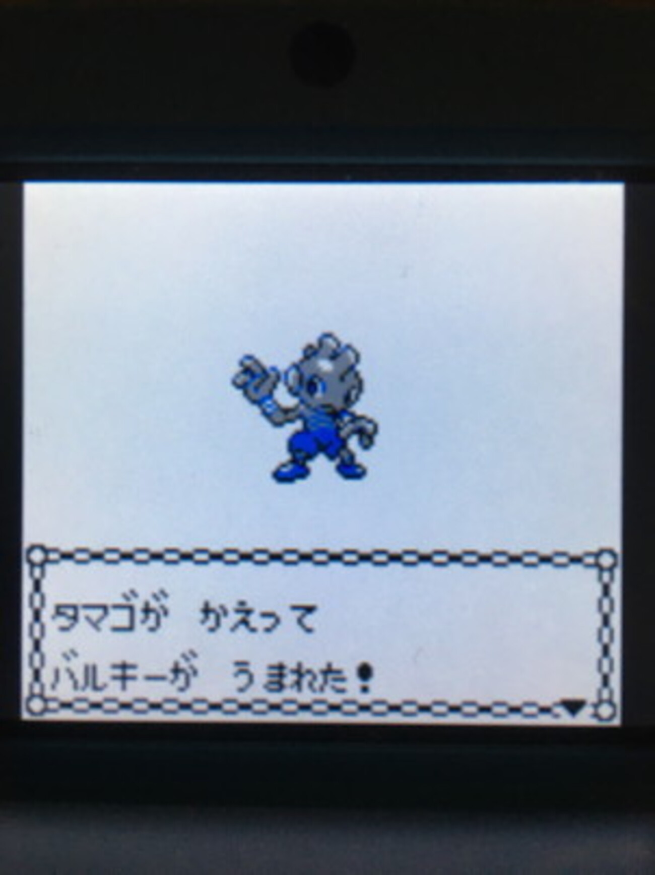 色違いポケモン紹介】VC産バルキー - 自由に生きてあそBlog