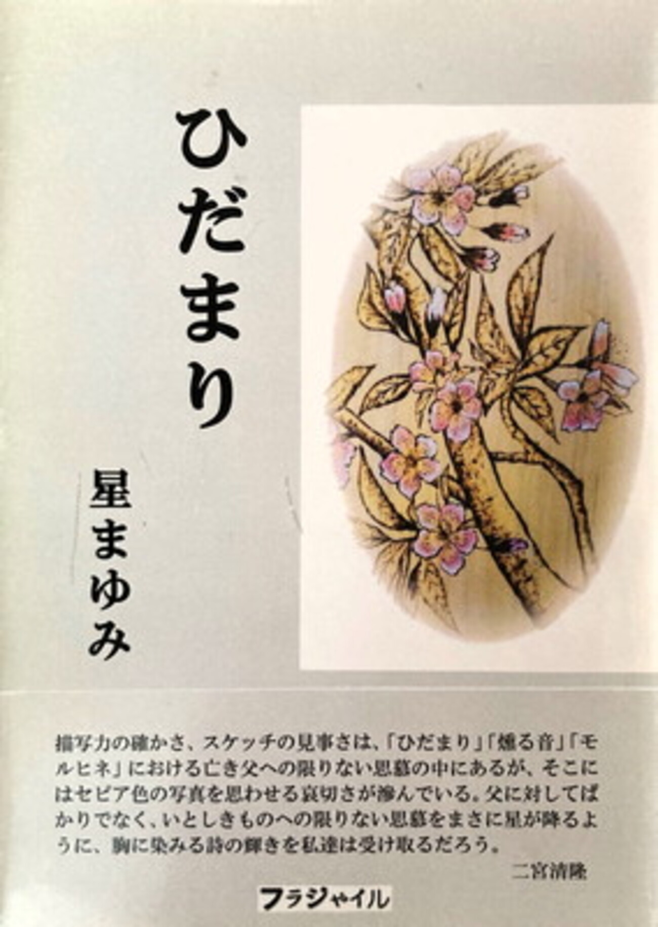 しゃぼん玉刑: 詩集 しゃぼん玉刑: 詩集 しゃぼん玉刑: 詩集 書籍 | 講談社