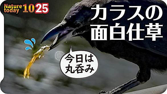 O ホモォとは ウェブの人気 最新記事を集めました はてな