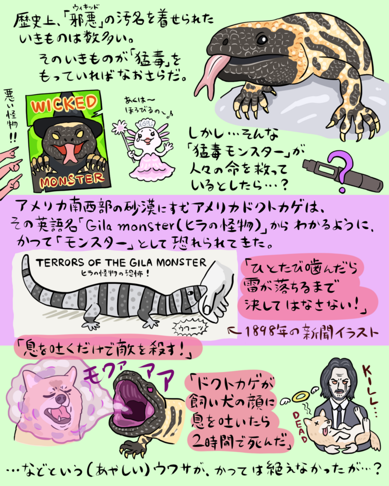 図解】猛毒に秘めし魔法！アメリカドクトカゲ - 沼の見える街