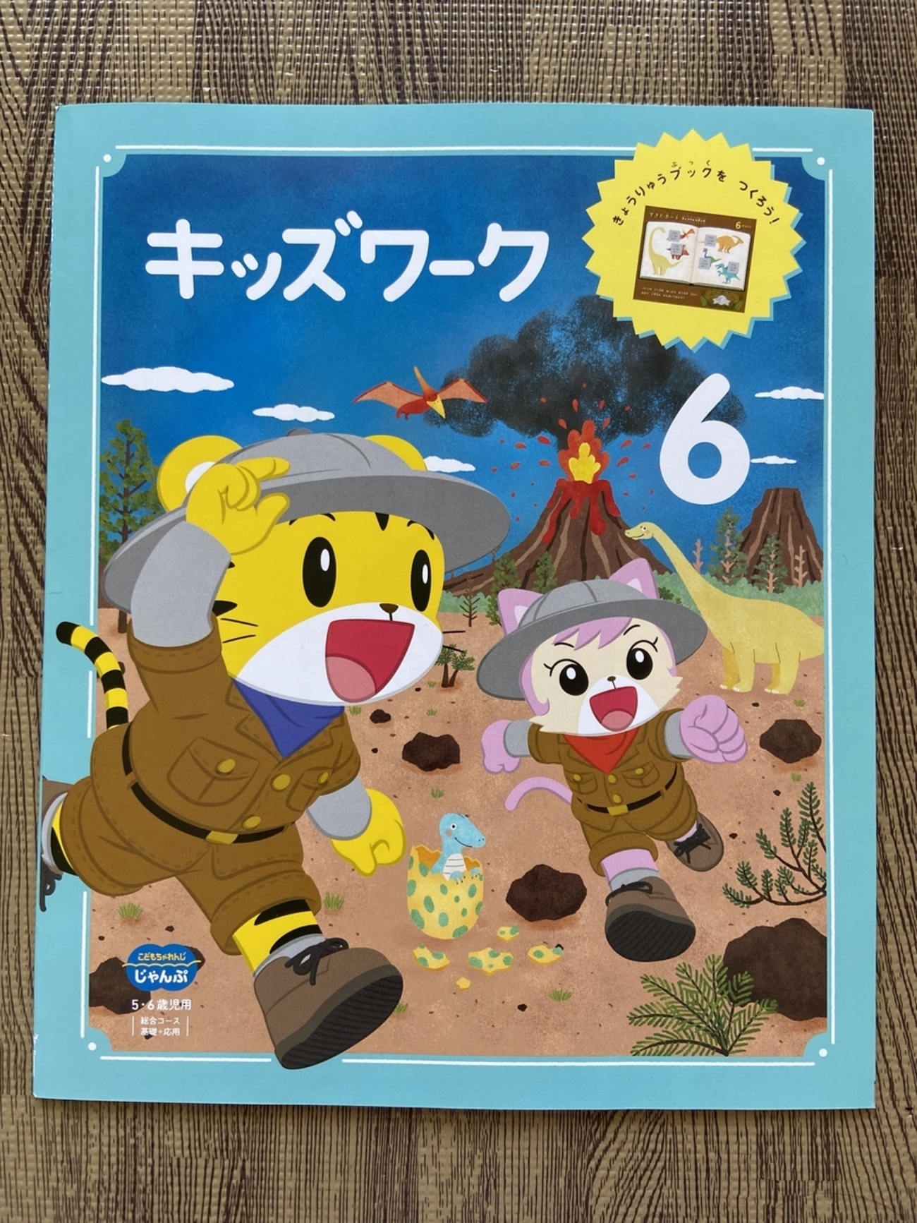 こどもちゃれんじじゃんぷ総合コース6月号レビュー2（ワーク／DVD等 