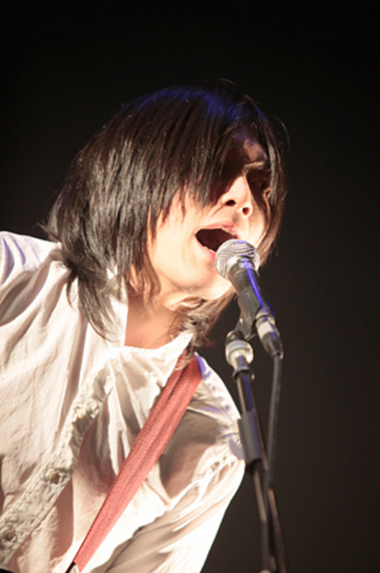 山田亮一が使っているギターグッズを調べてみた。 - Nae0830's blog