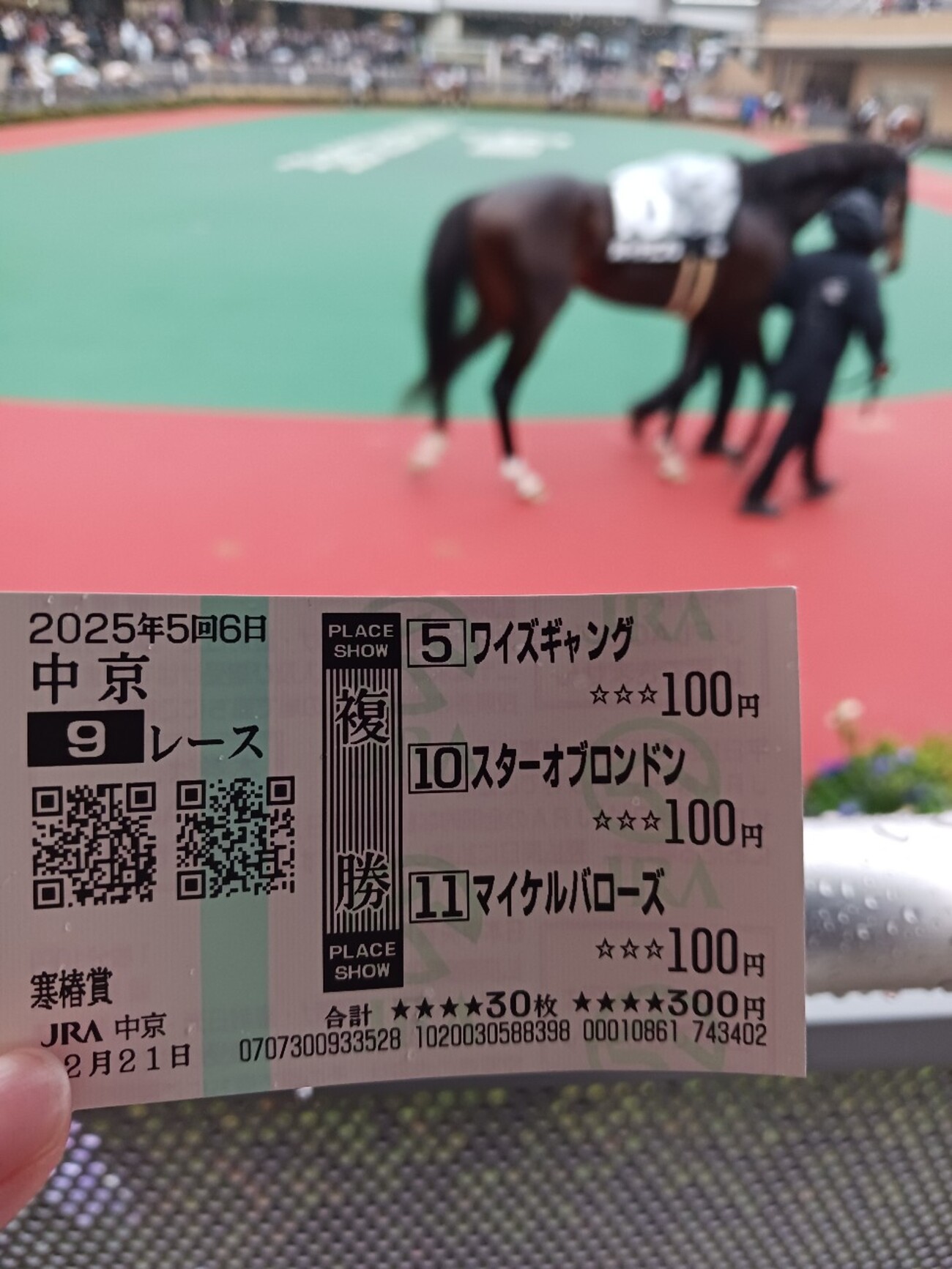 初めて競馬を観に行った（＋宮本輝『優駿』読んだ） - まくら