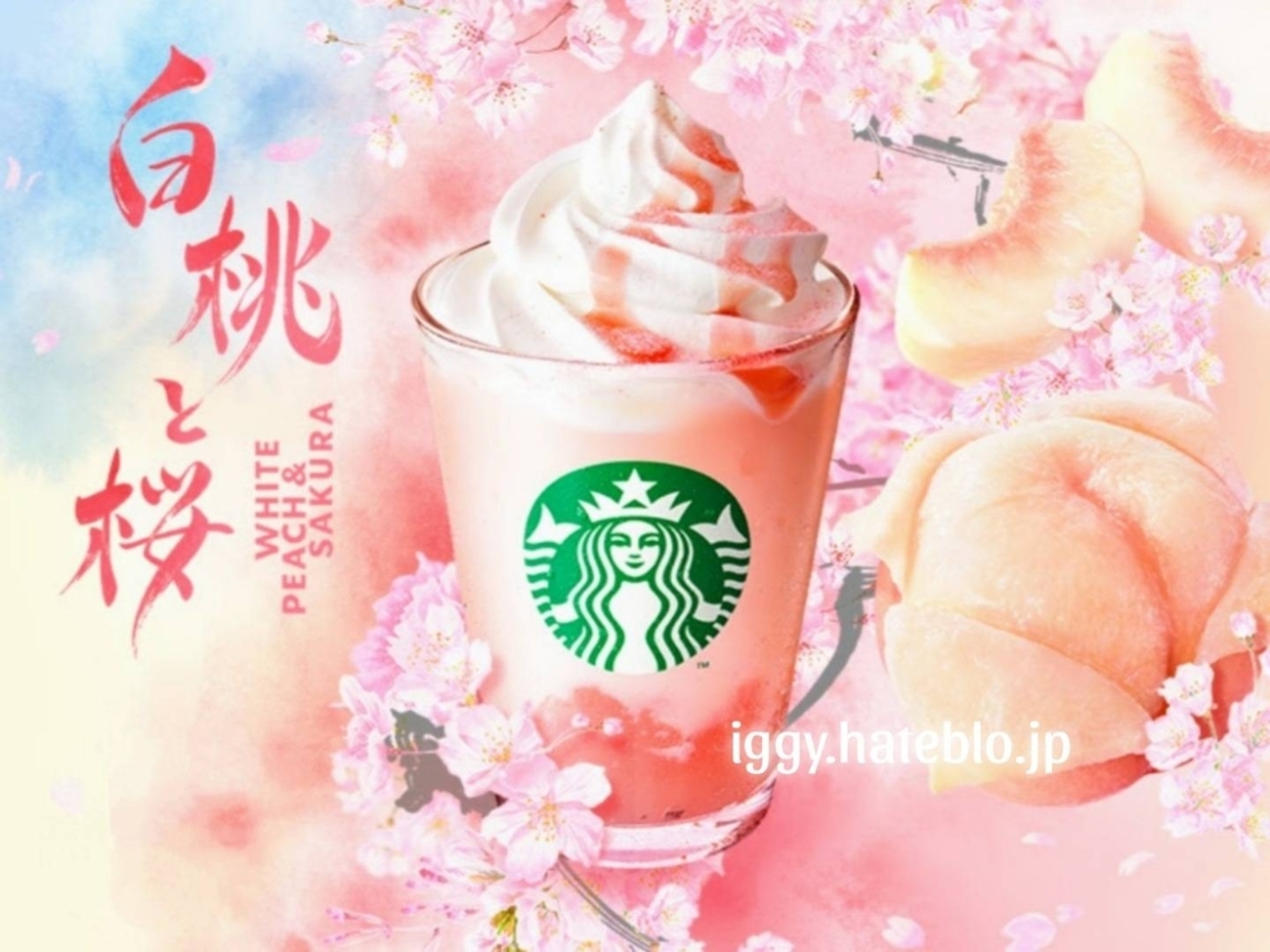 白桃と桜わらびもちフラペチーノ カスタム&カロリーまとめ。スタバ新作さくら2025 - イギーとポル 福岡グルメ