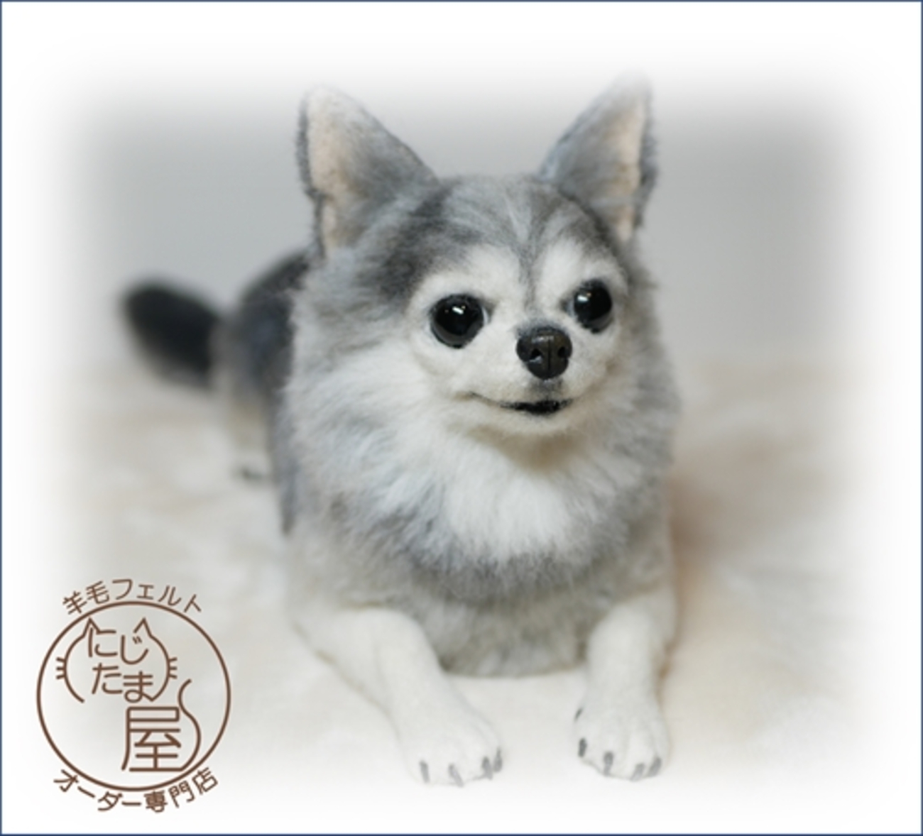 羊毛フェルト ミニ チョコホワイトチワワ くもり