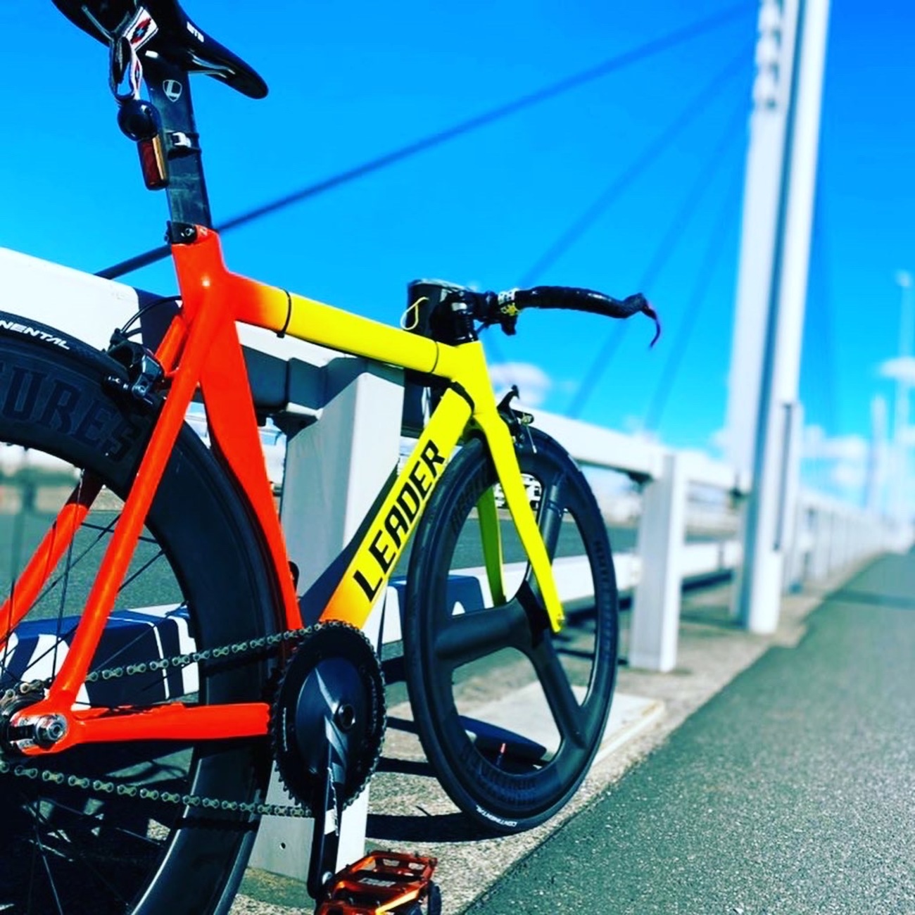帰ってきたLEADER BIKE 725TR♪ - JNPゾエの看護？覚書in城東