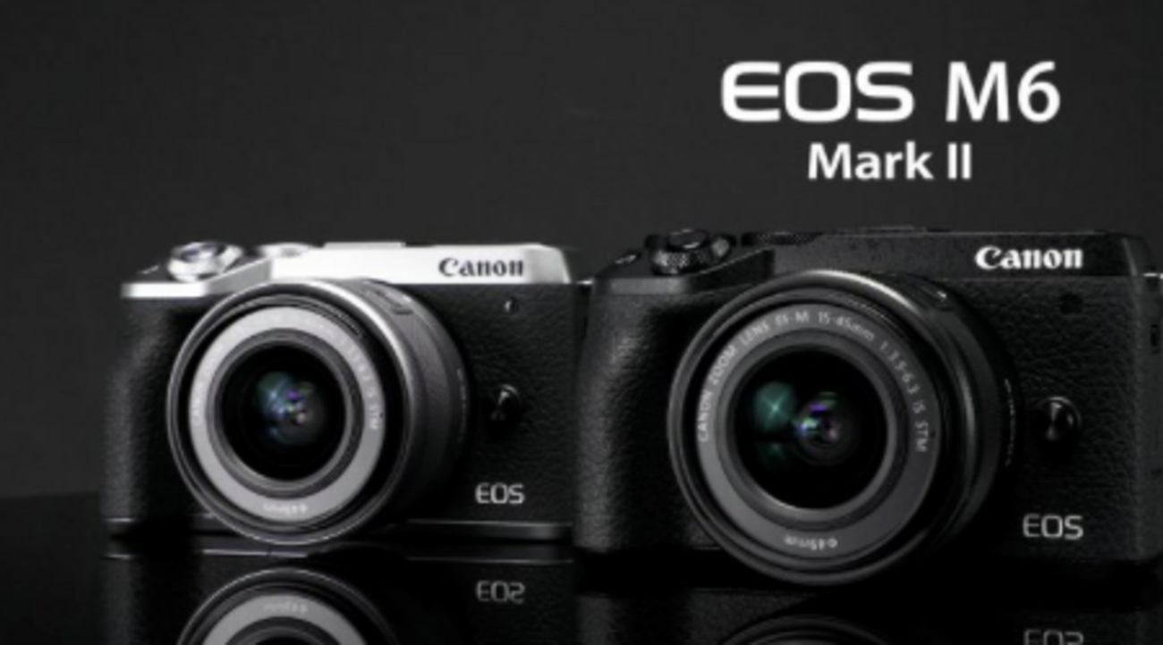 Canon EOS M6 Mark II EVF レンズ4本 - デジタル一眼