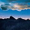 TREKKING SONG