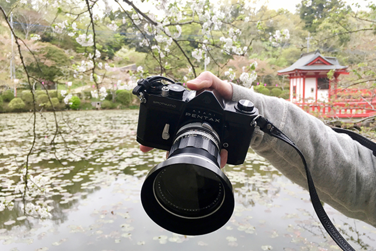 国産滲みレンズAuto Takumar 35mm f2.3で撮って来た - カメラが欲しい 