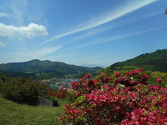 つつじ祭りとは 動植物の人気 最新記事を集めました はてな