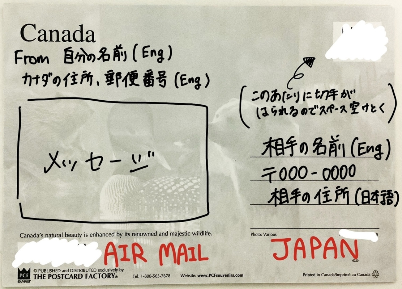 カナダから日本へ手紙の送り方 ～只今ワーホリ中～ - ももたの日常記録