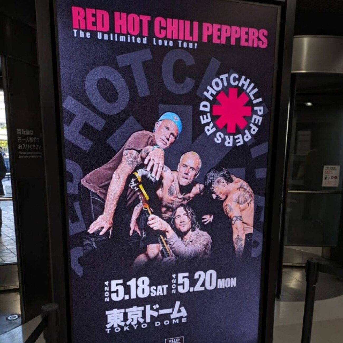 RED HOT CHILI PEPPERS 2024 東京ドーム 限定 Tシャツ RED HOT CHILI 