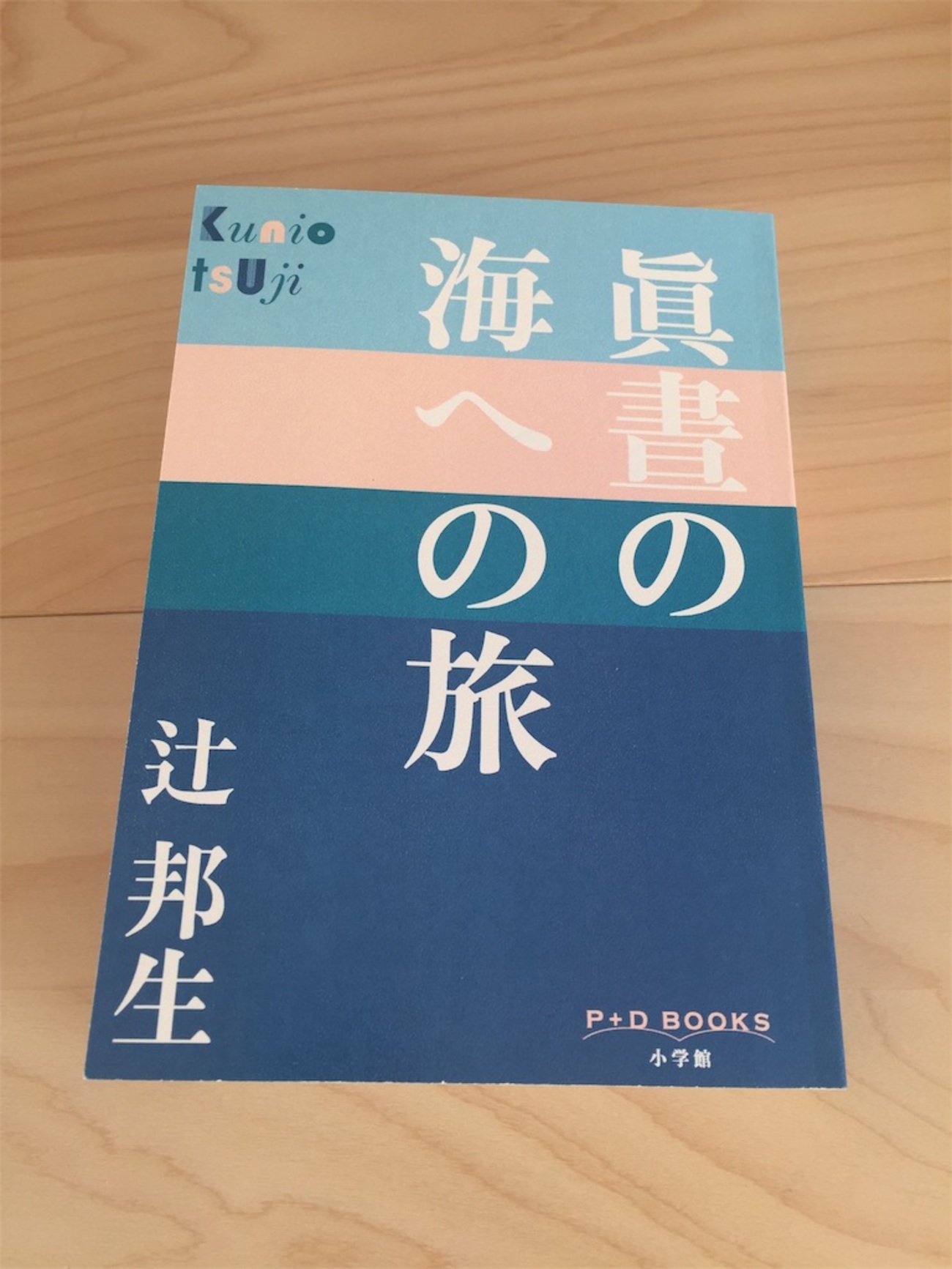 辻邦生中公文庫6冊セットです。 背教者ユリアヌス 全巻 セット 全4巻