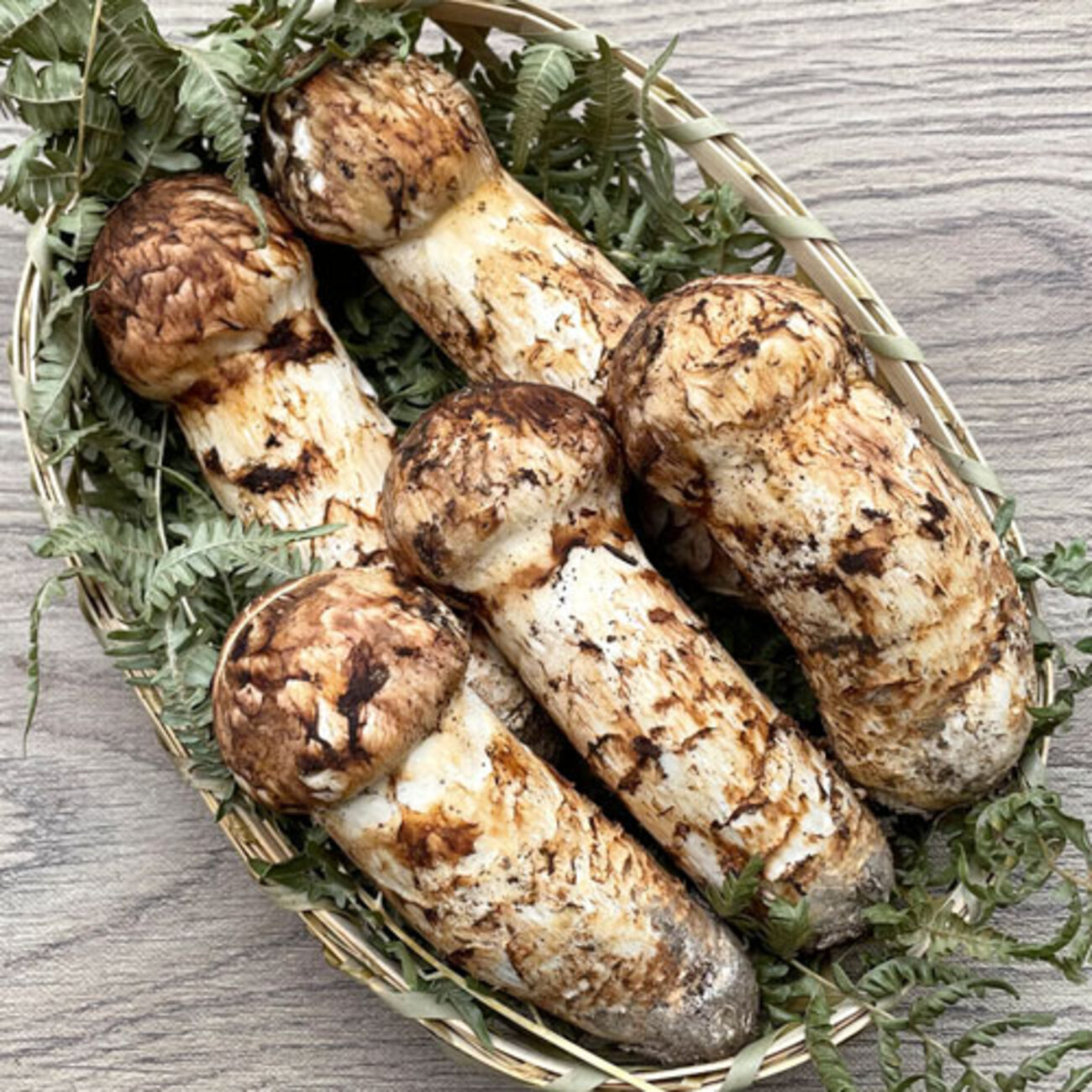 backend=imagemagick;version=1;