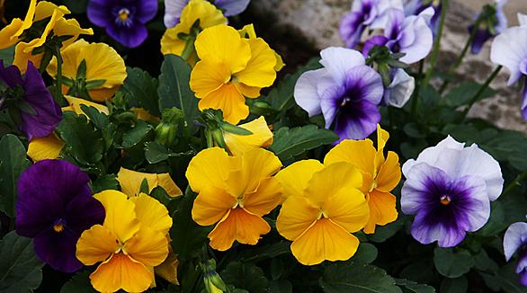 私の体験とは 人気 最新記事を集めました はてな