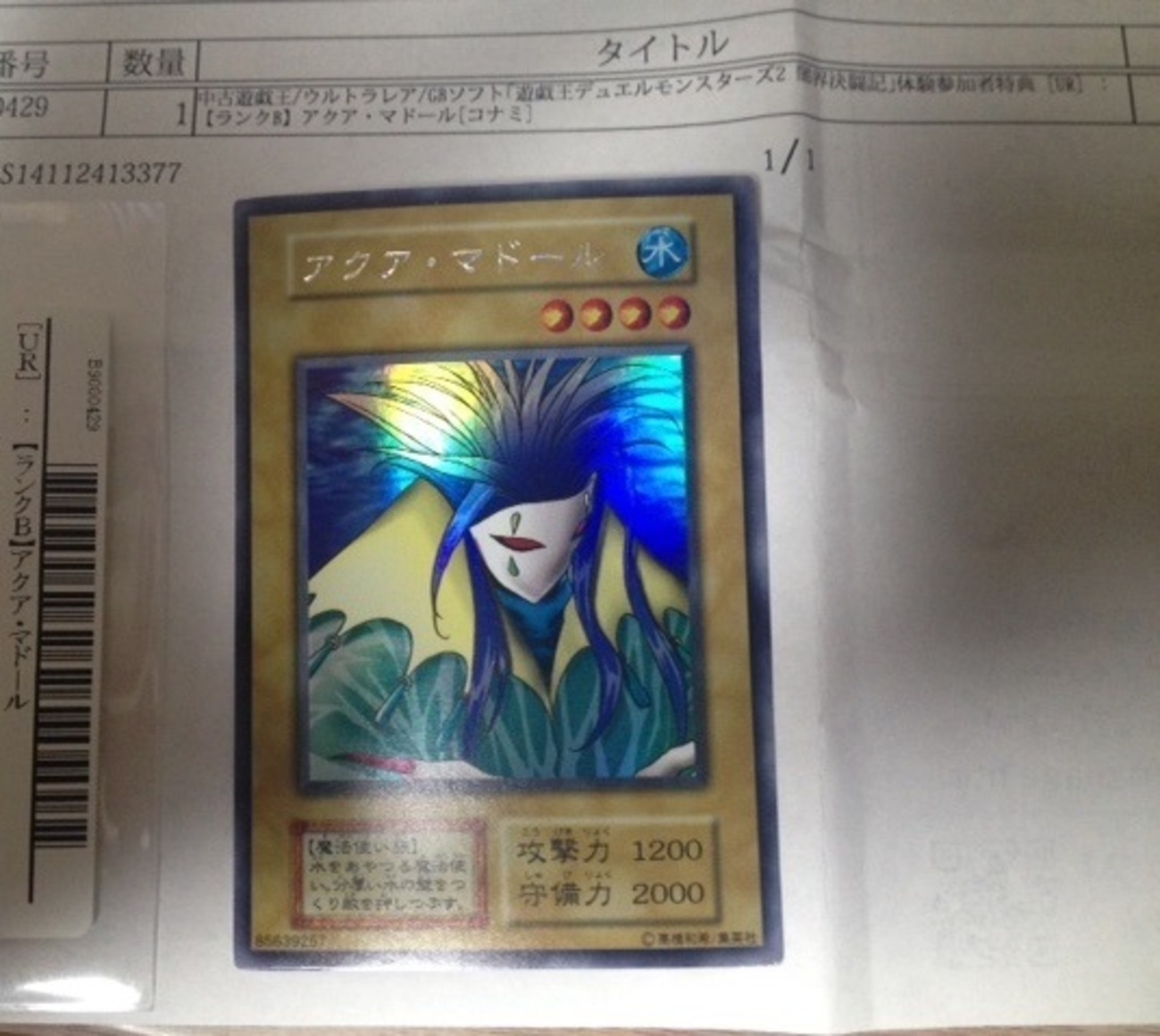 backend=imagemagick;version=1; 