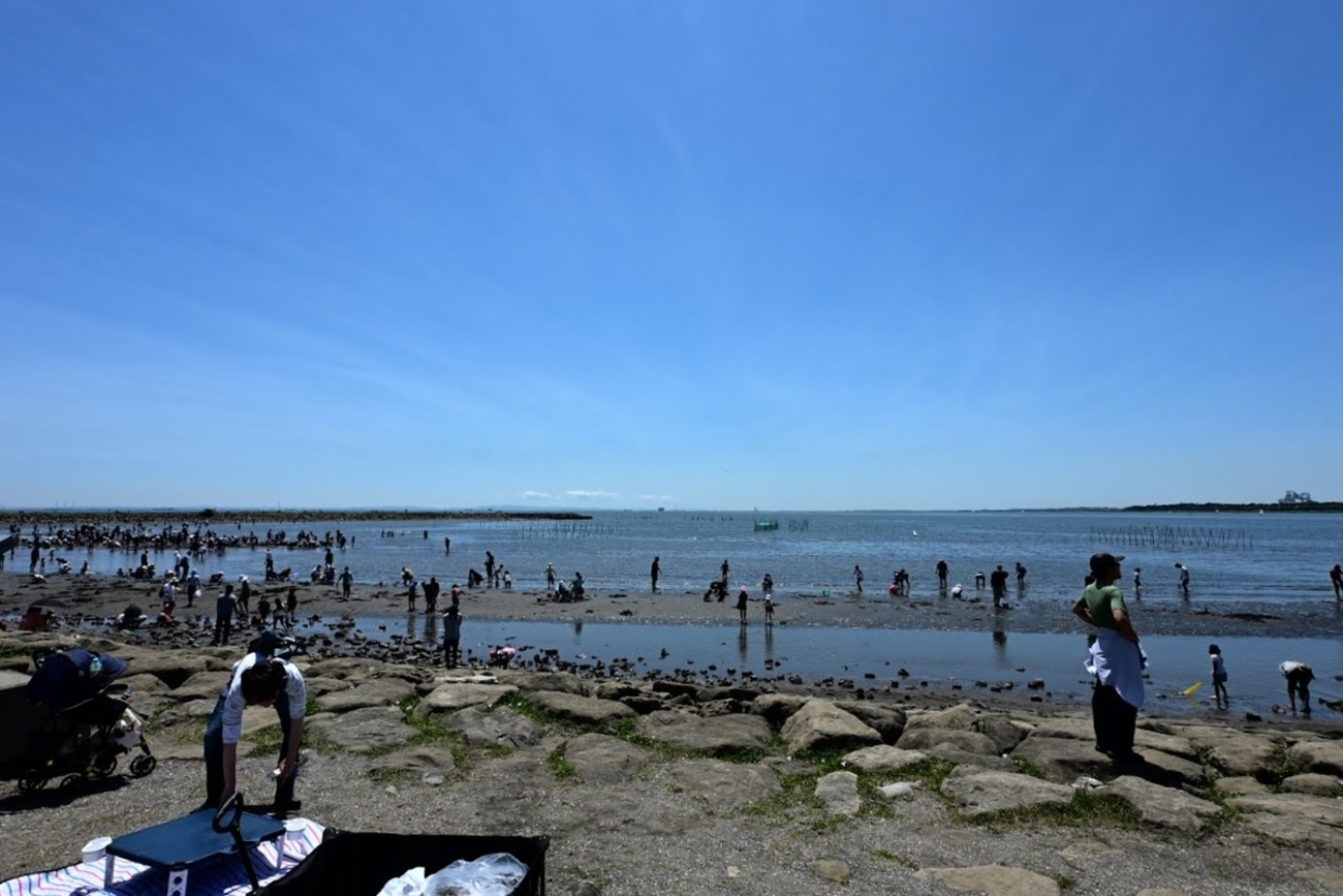 backend=imagemagick;version=1;