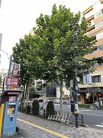 クール ネット東京とは 人気 最新記事を集めました はてな