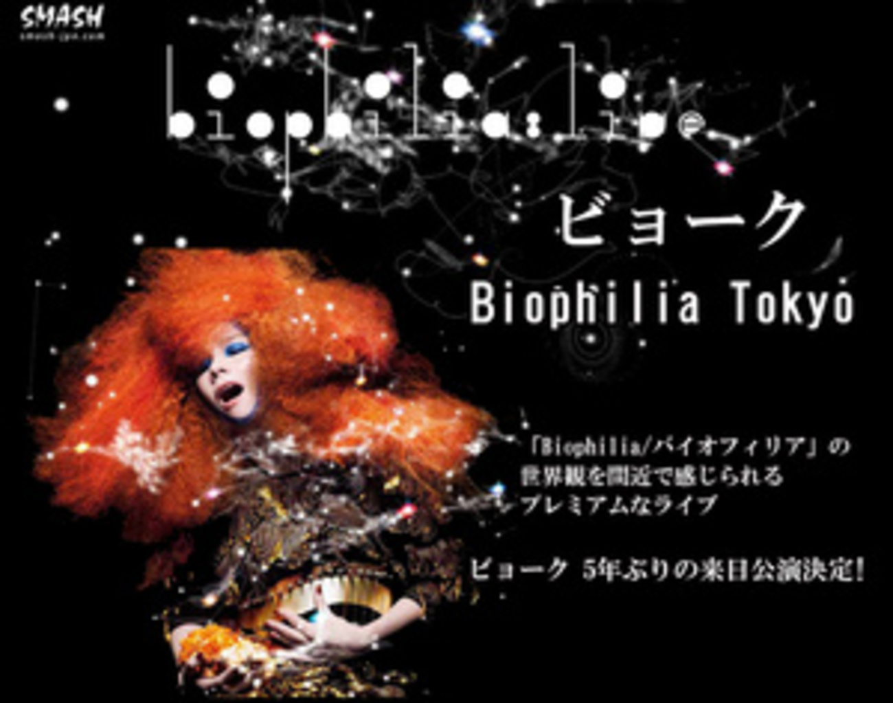 backend=imagemagick;version=1;