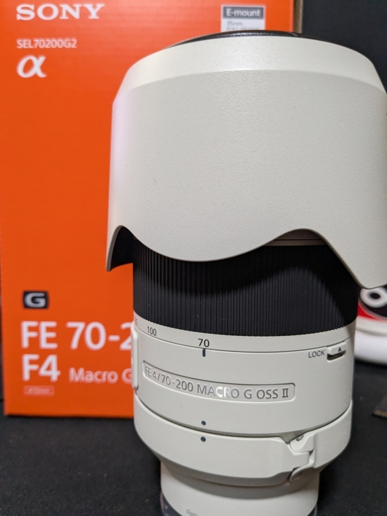 新しいレンズを買ってたっていう話-FE 70-200mm F4 Macro G OSS II