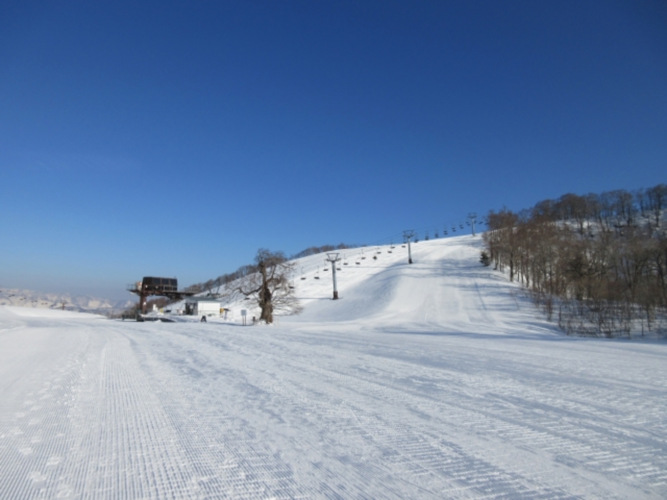 2021年1月12日のおはよう！ - ジャパ太郎のブログ