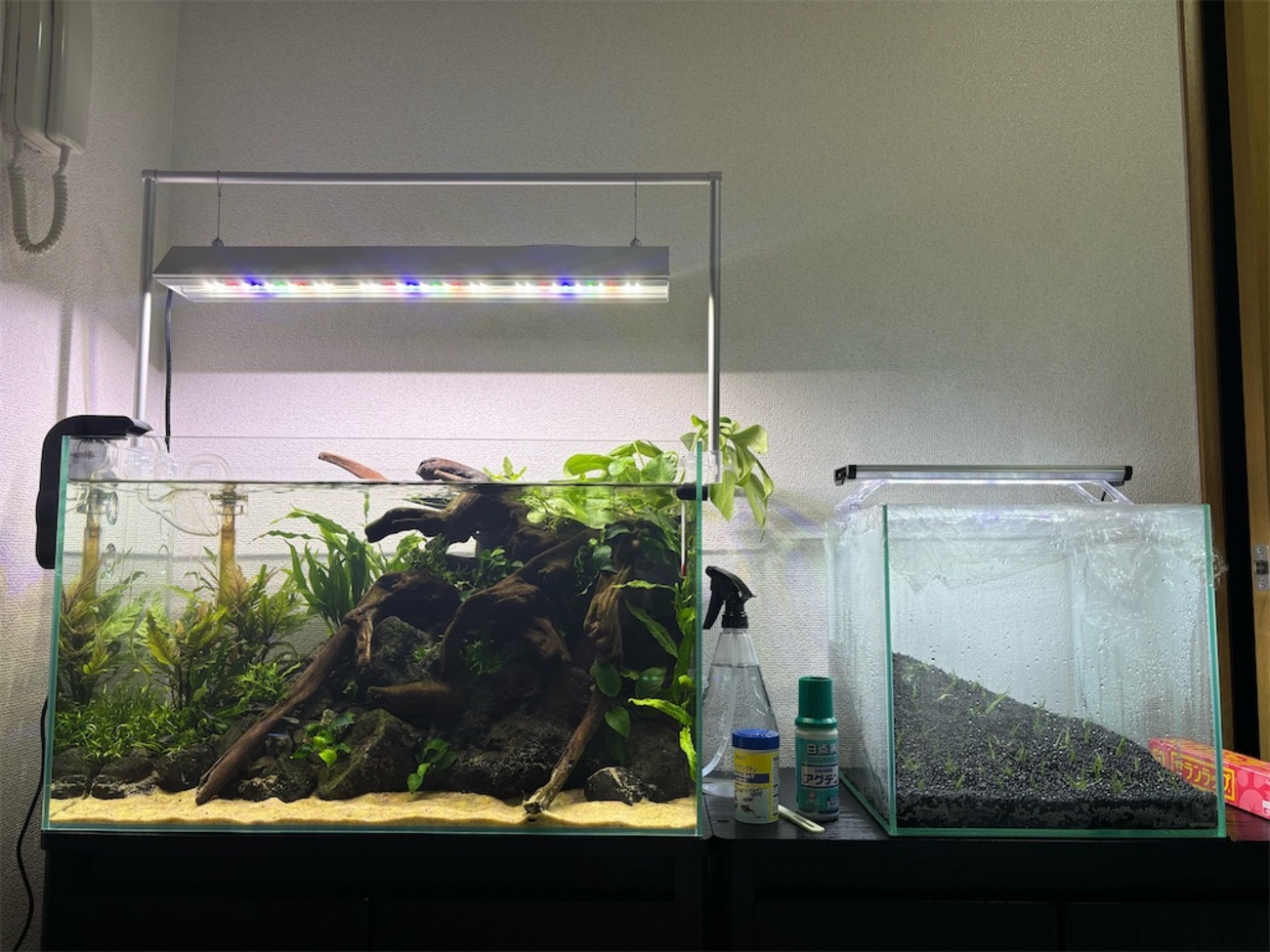 アマゾン川60㎝水槽と30㎝水槽の紹介 - アクアリウム日記