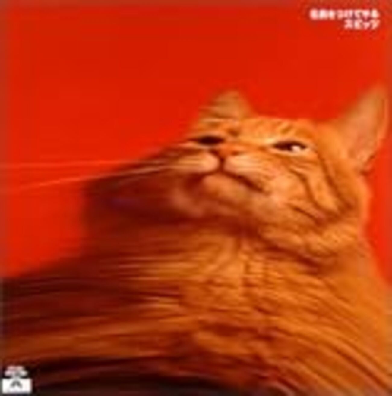 名前をつけてやる』スピッツ(リリース：1991年11月) - ブンゲイブ 