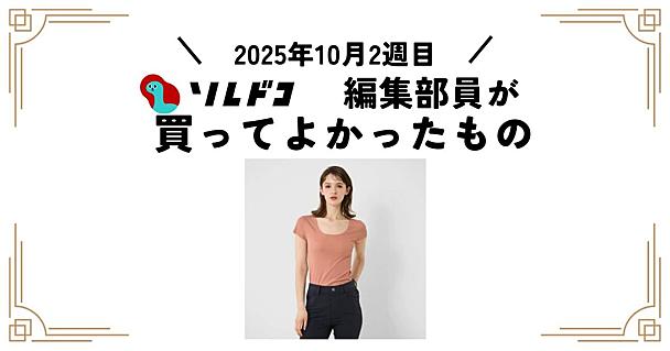 断然コスパよし！ なグンゼの超高機能インナーは秋も引き続き便利そう 2025年10月（2週目）の編集部が買ってよかったもの