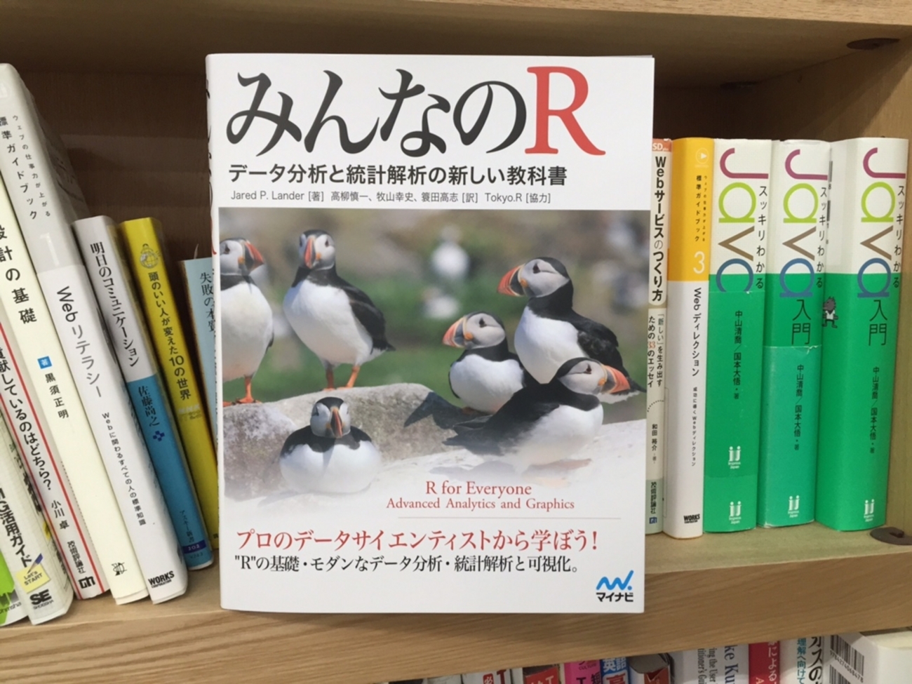 みんなのR』（原題：