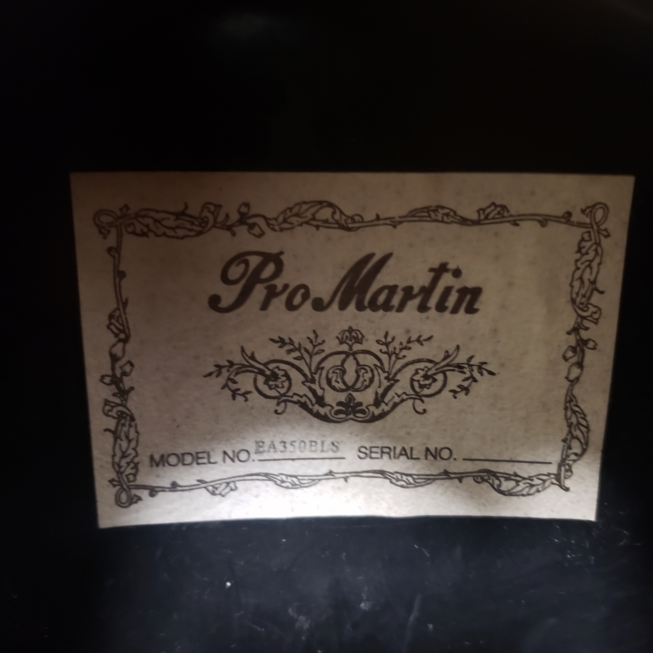 Pro Martin EA350BLS - turugi-punkの日記