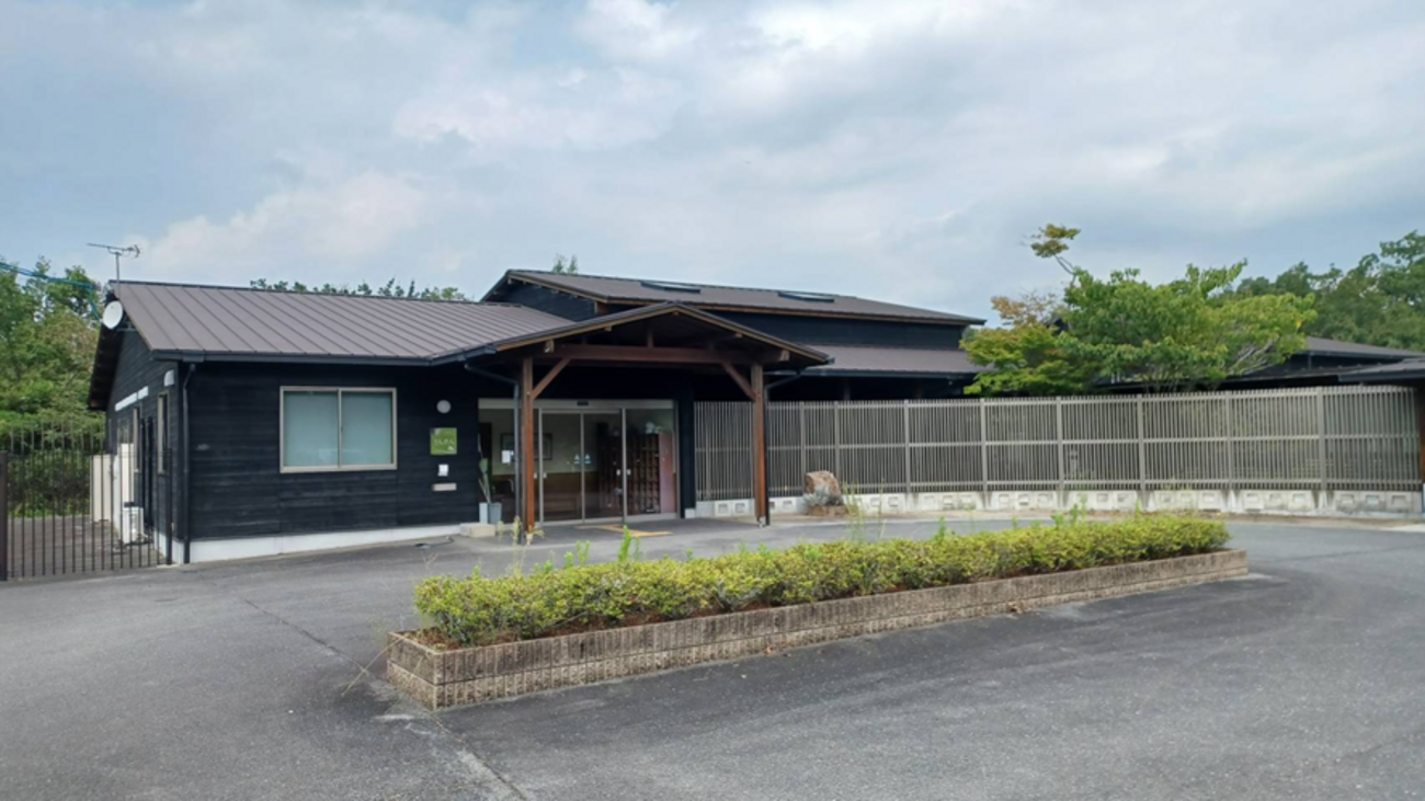 MiRAiレポート新着記事