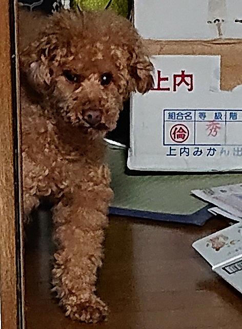 家政婦は見た とは テレビの人気 最新記事を集めました はてな 家政婦は見た とは テレビの人気 最新記事を集めました はてな