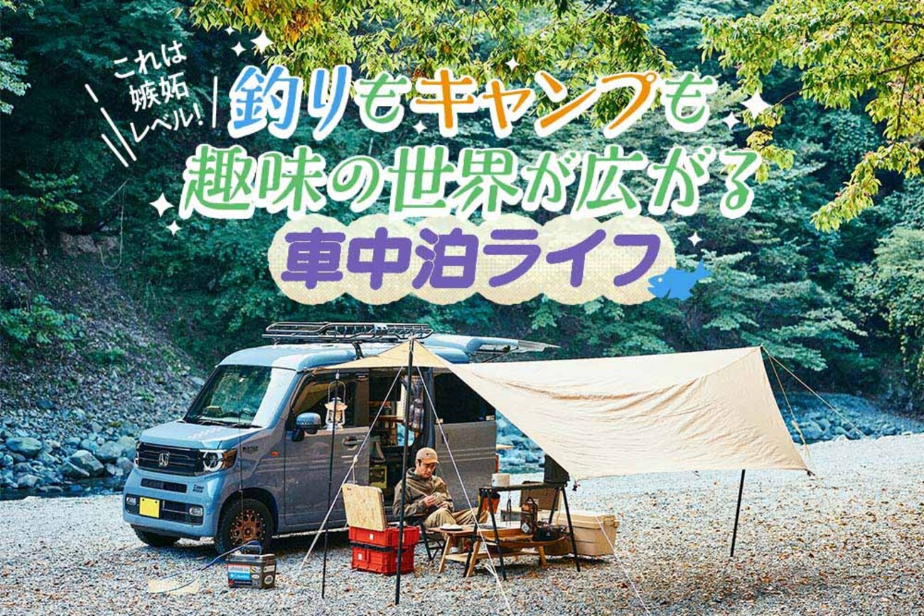 backend=imagemagick;version=1;