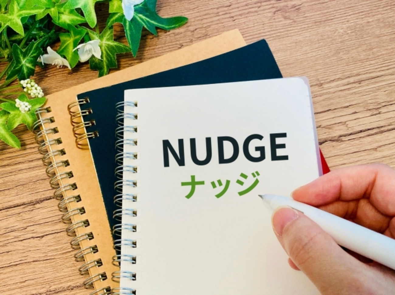 ナッジ理論と社会福祉政策!人々の社会的行動を変えるための戦略 - 知って得する経済知識