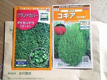 グランドカバーとは 動植物の人気 最新記事を集めました はてな グランドカバーとは 動植物の人気 最新記事を集めました はてな