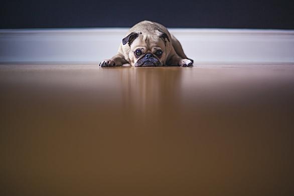 Guten とは 一般の人気 最新記事を集めました はてな