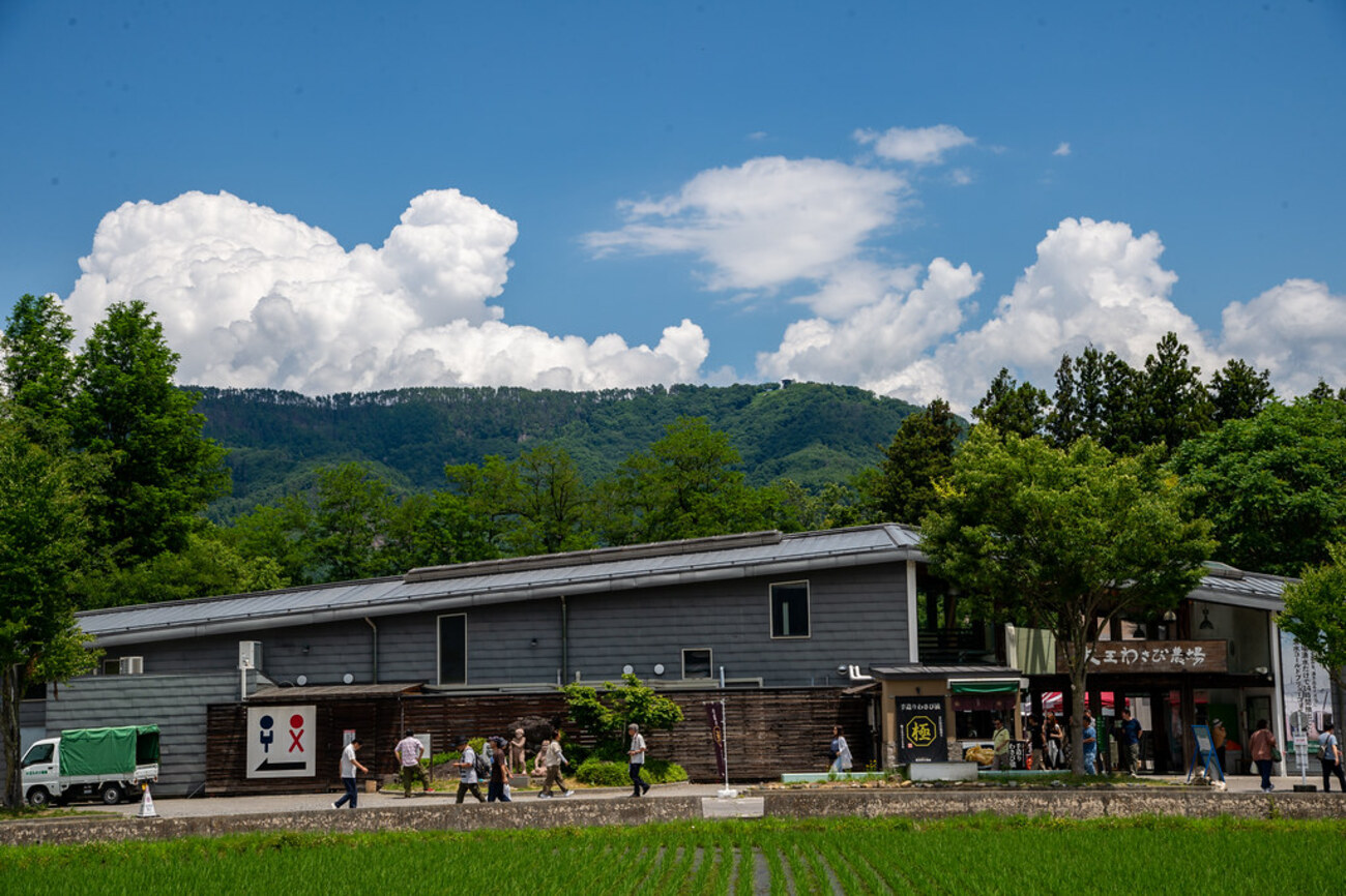 絶品！大王プレミアムソフトクリーム：安曇野大王のわさび農園