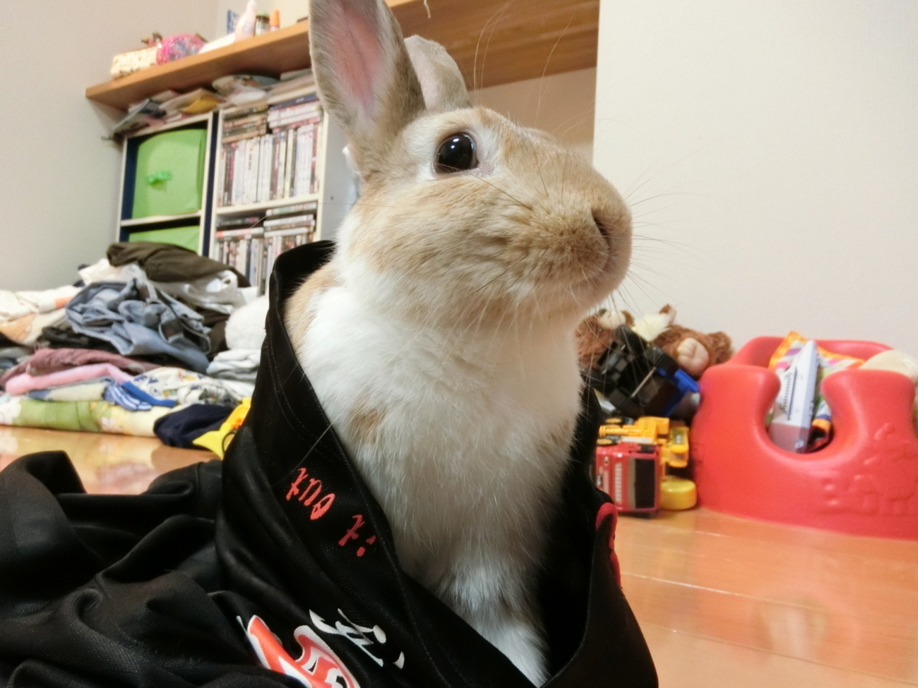 楽しい思い出　ウサギとサル　SMサイズ 617xzNggJPL._UF350,350_QL80_.jpg