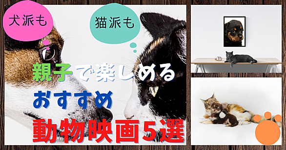 パディントン2とは 映画の人気 最新記事を集めました はてな パディントン2とは 映画の人気 最新記事を集めました はてな