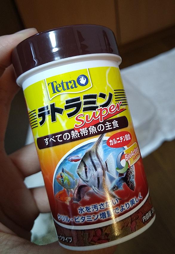 カージナルテトラとは 動植物の人気 最新記事を集めました はてな カージナルテトラとは 動植物の人気 最新記事を集めました はてな
