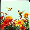 Winged Wonders