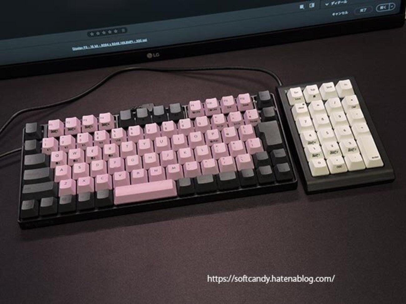 キーキャップ リアル フォース 初代 REALFORCE RC1キーボード キー 