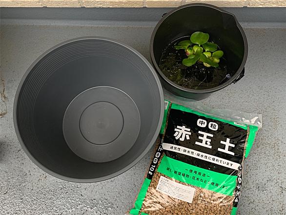 ビオトープとは 動植物の人気 最新記事を集めました はてな