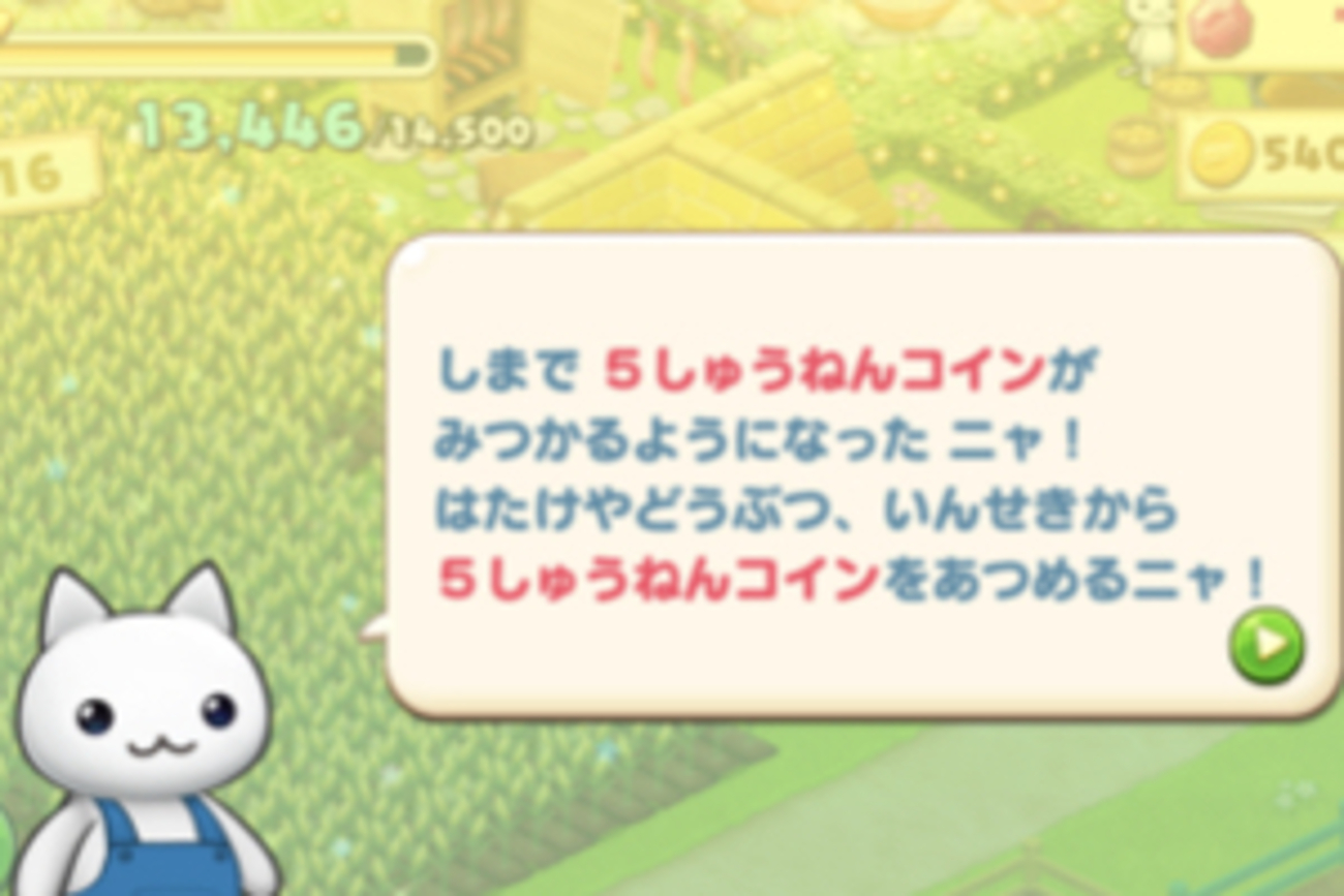 【５周年】ほしの島のにゃんこのイベントが開催！その内容は？