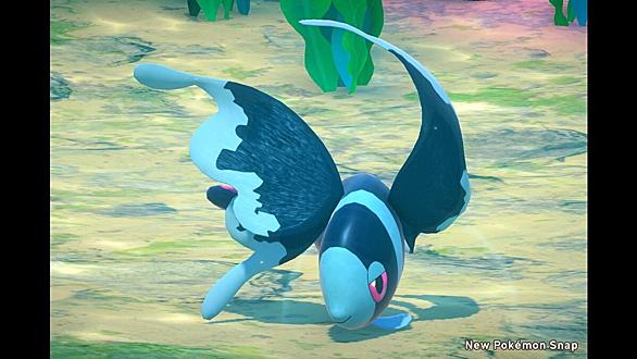 ケイコウオとは ゲームの人気 最新記事を集めました はてな