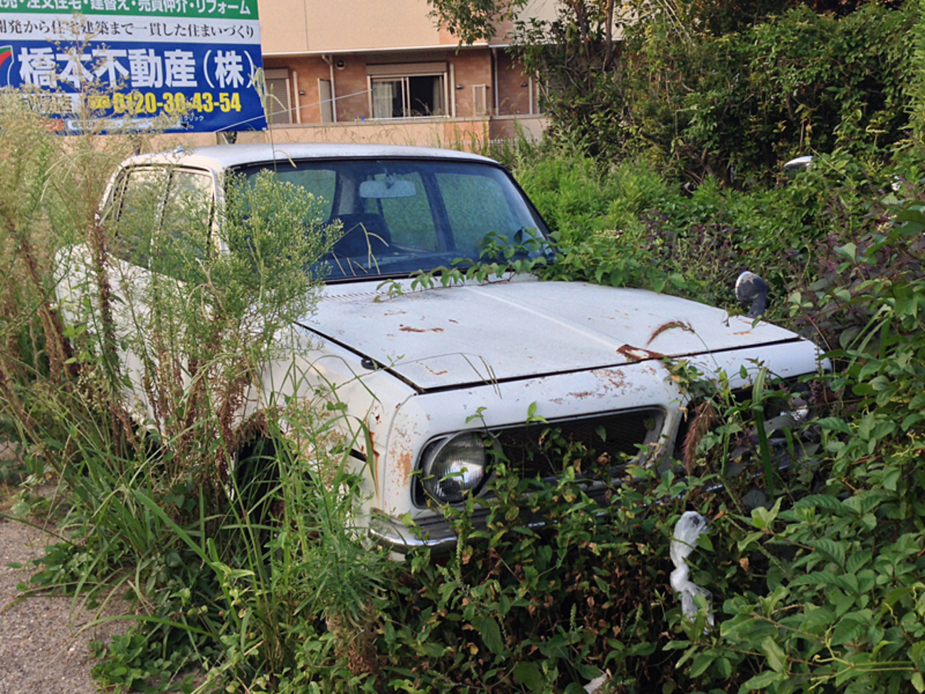 長池、上狛～車編（草ヒロ少々）。 - daily diary