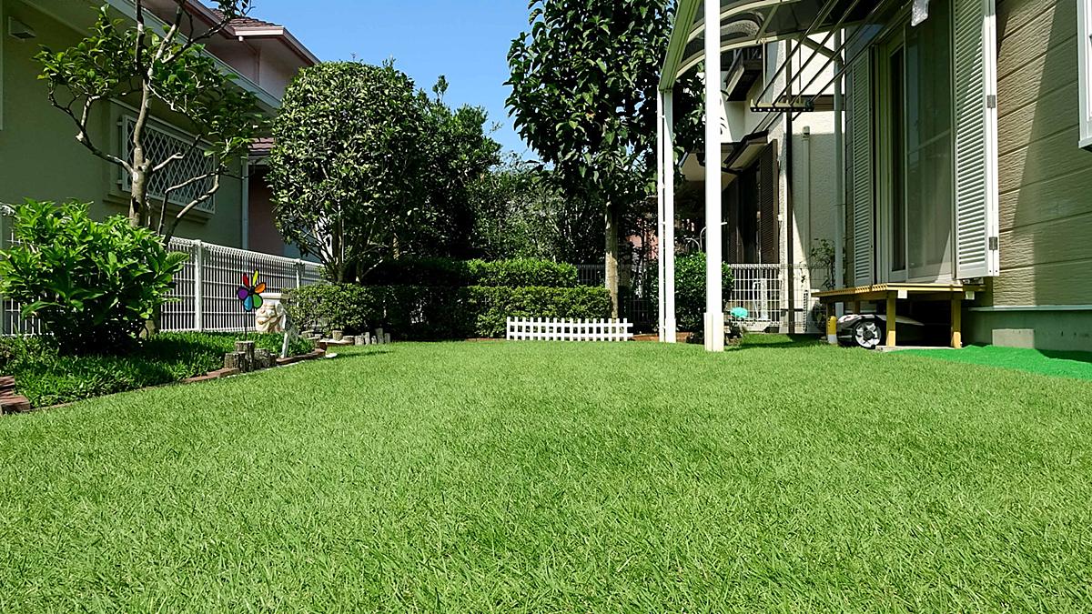 芝生の手入れの一年間 芝生ガーデニング